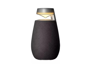 Zvucnik LG XO2TBK/XBOOM Go/20W/Bluetooth/bežicni/crna
