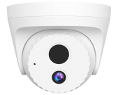 IC7-PRS-4 4MP PoE Eyeball Security Camera
